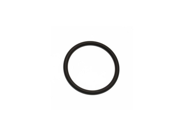 Volvo O-Ring VOE20412325