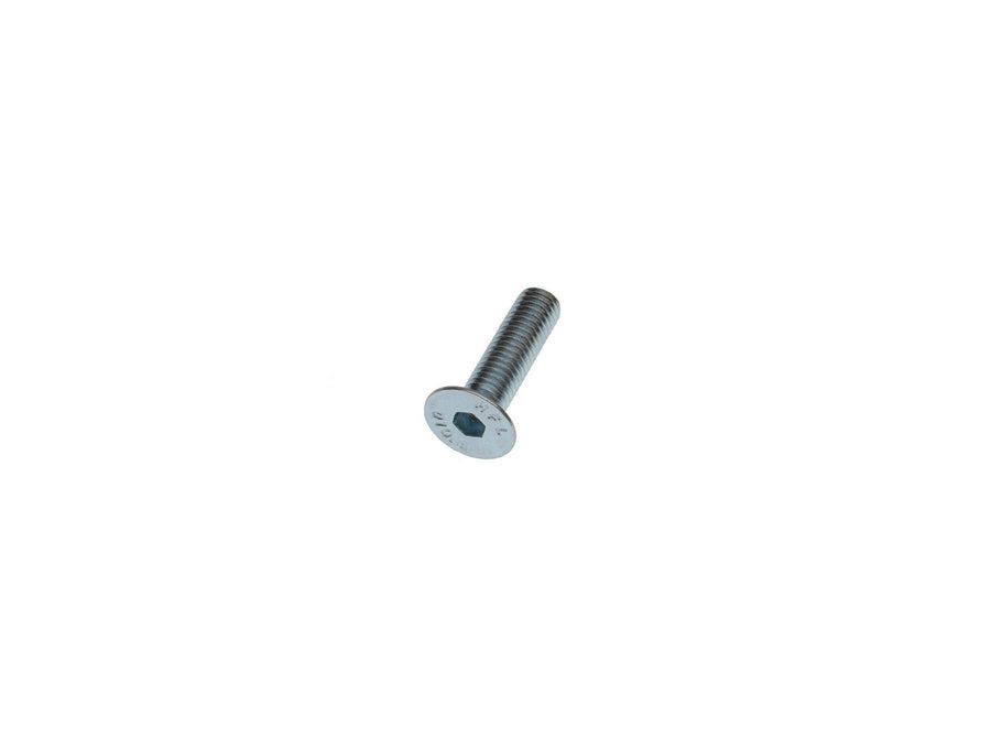 Volvo Schraube VOE969373