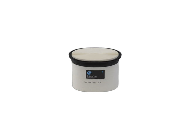 Original Donaldson Luftfilterelement P635904