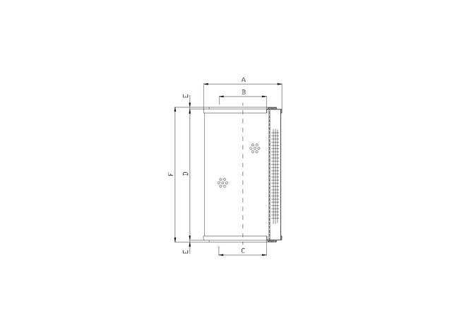 Original FILTREC Filterelement für Rücklauffilter R320GW06P