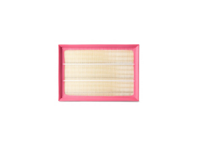Original Fleetguard Luftfilterelement AF4608