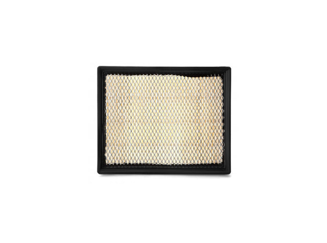 Original Fleetguard Luftfilterelement AF55802