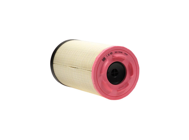 Original MANN-FILTER Luftfilterelement C 25 900